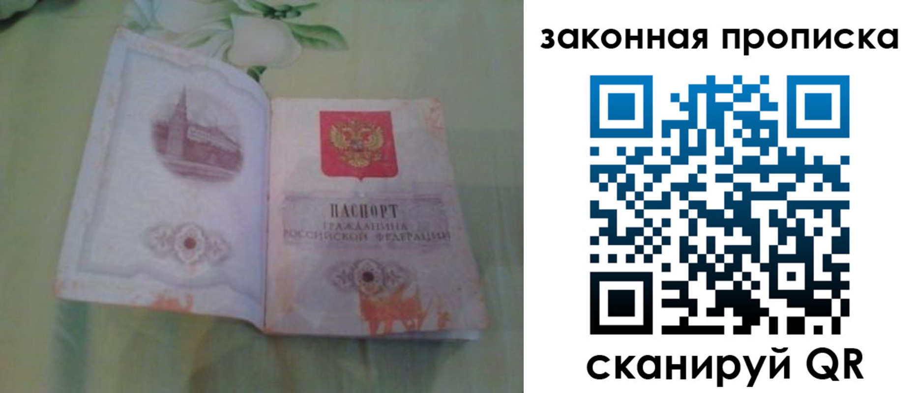 временная регистрация законно в Елизово