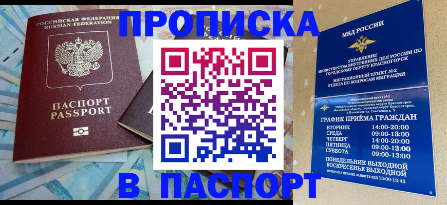 найти адрес прописки в Елизово